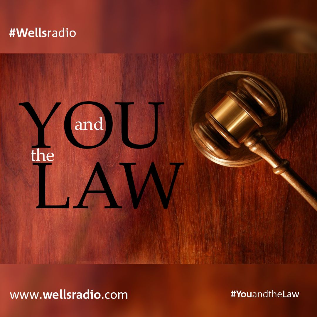 You And The Law Ep4 – Adoption Custody