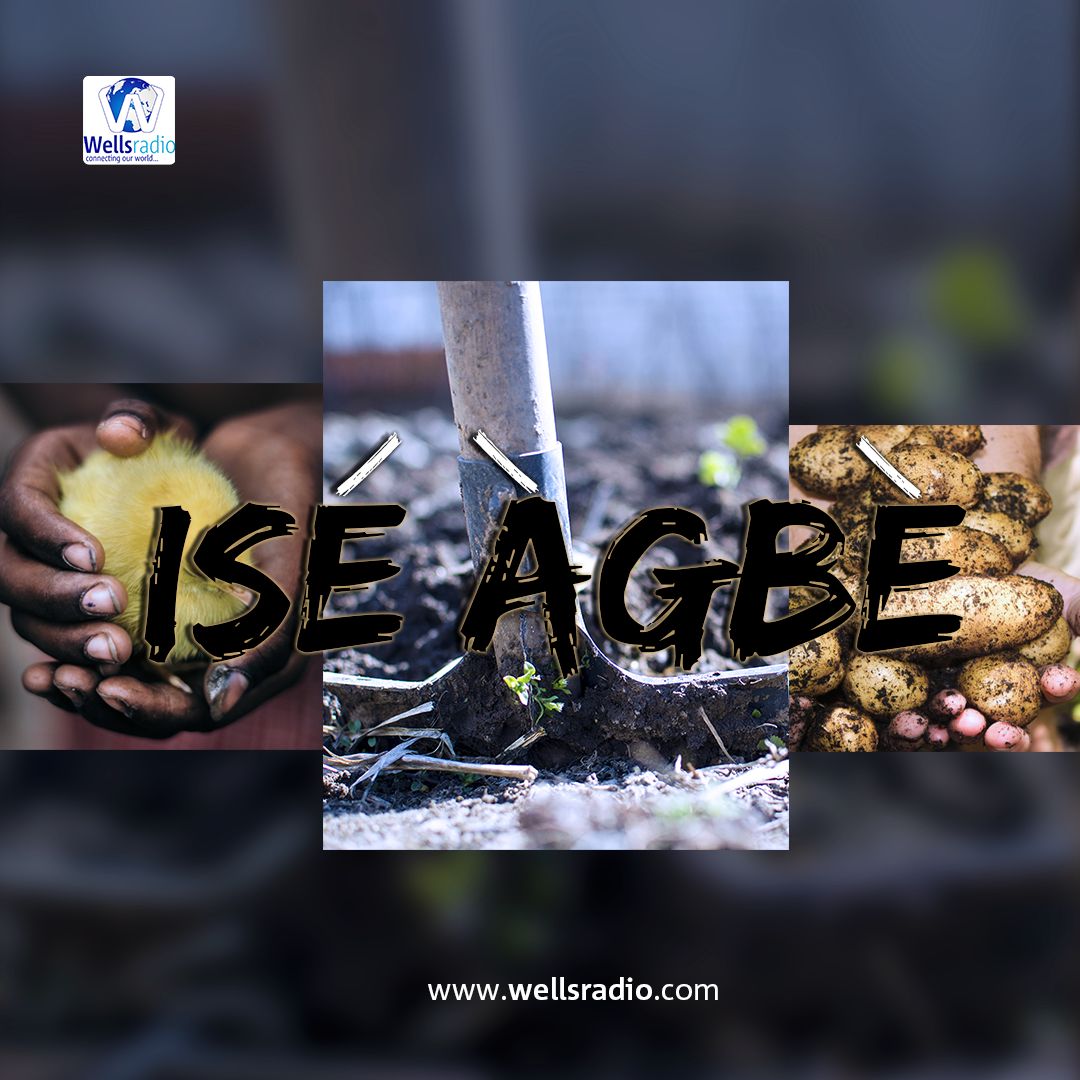 Ise Agbe Ep1 – Pataki Ise Agbe