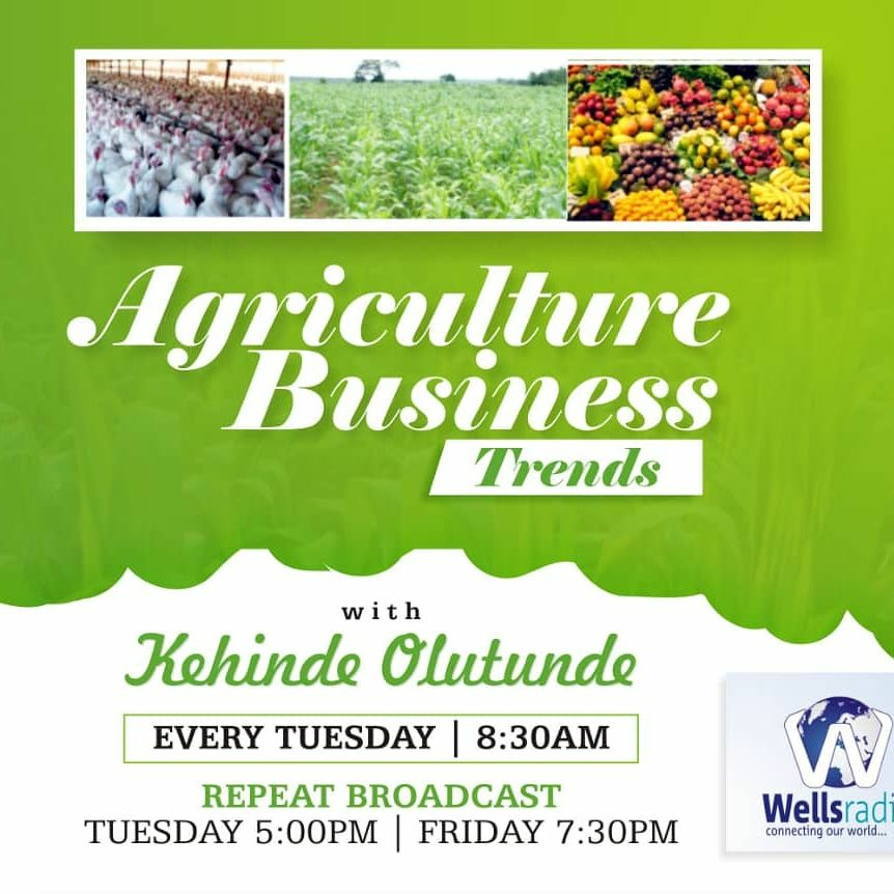 Agric Business Trends EP1 – Agric Value Chain